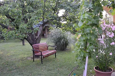 Ferienwohnung mit Garten und Grill