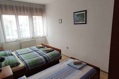 Ferienwohnung mit grosser Terrasse, Grill und