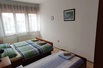 Ferienwohnung mit grosser Terrasse, Grill und
