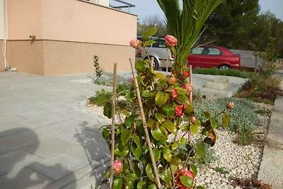 Studio mit Klimaanlage und Balkon