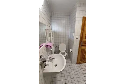 Ferienwohnung in Erzgebirge mit Möglichkeit