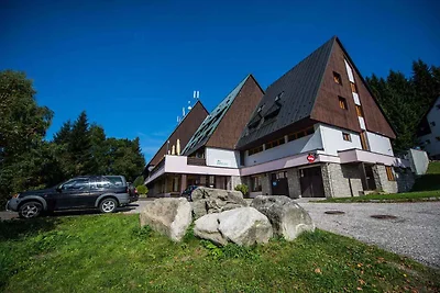 Ferienwohnung im Parkhotel