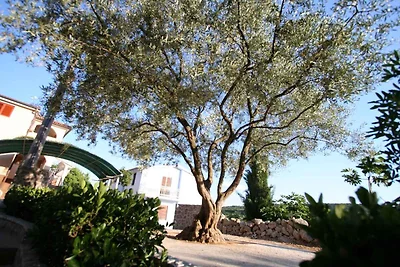 Appartamento Vacanza con famiglia Silo