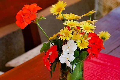 Ferienwohnung mit Waschmaschine