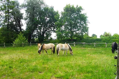 Ferienwohnung auf einem Pferdehof
