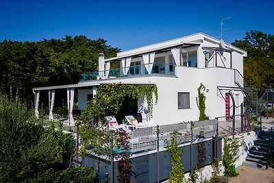 Ferienhaus haustierfreundlich