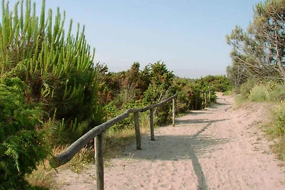 Appartamento Vacanza con famiglia Rosolina