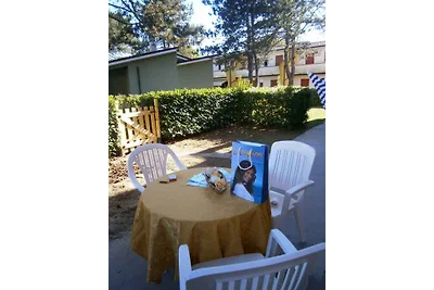 Ferienwohnung mit Pool und Terrasse