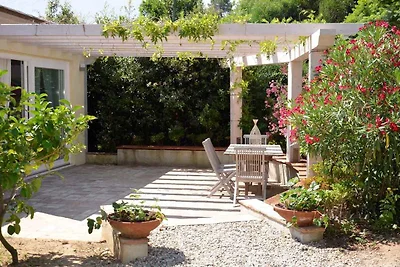 Ferienwohnung Mit Terasse und Pool