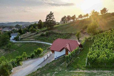 Ferienhaus auf dem Weinberghügel in der Nähe 