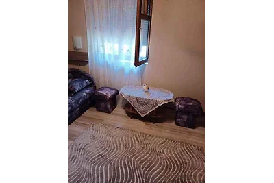 Ferienhaus mit moderner Einrichtung