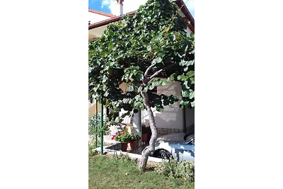 Ferienwohnung mit Klimaanlage