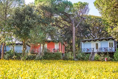 Villa mit Klimaanlage, Pool und Terrasse