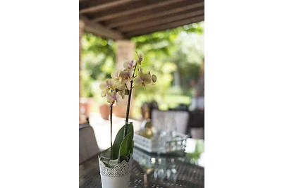 Vakantieappartement Gezinsvakantie Murter