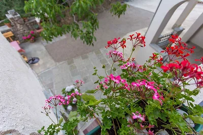 Casa vacanze Vacanza di relax Crikvenica