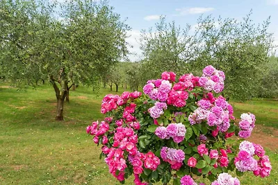 Geräumiges Apartment mit zwei Schlafzimmern, 