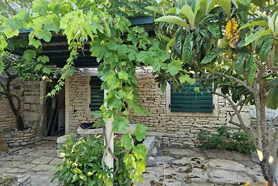 Gemütliche Ferienwohnung Darin Dvor in Vela L
