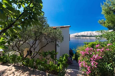 Ferienwohnung ideal am Meer gelegen für 3