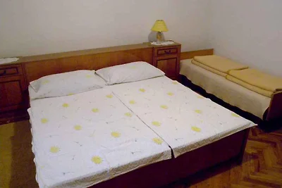 Ferienwohnung mit grossem Garten