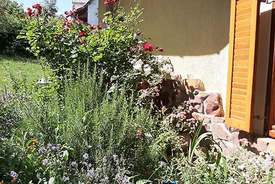 Ferienhaus mit riesengrossem Grundstück und A
