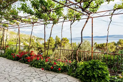 Ferienwohnung mit Meerblick