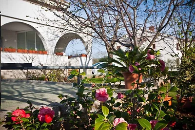 Vakantieappartement Gezinsvakantie Krk