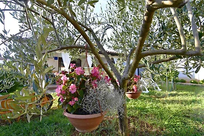 Ferienwohnung in Strandnähe mit Terrasse