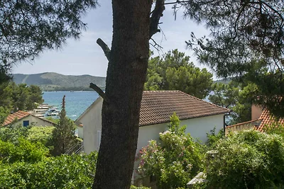 Appartamento Vacanza con famiglia Žaboric