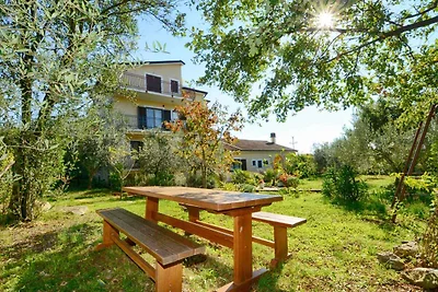 Ferienwohnung mit dem Pool