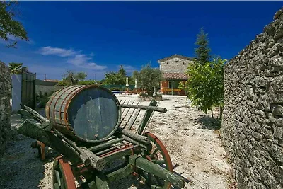 Casa vacanze Vacanza di relax Brecevici