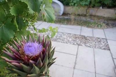 Vakantieappartement Gezinsvakantie Krk