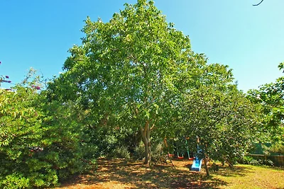 Vakantieappartement Gezinsvakantie Premantura