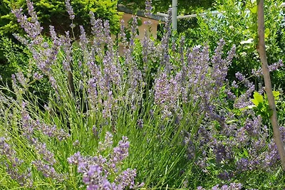 Ferienwohnung mit Klimaanlage