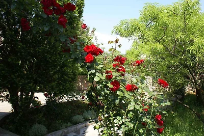 Ferienwohnung na mirnom mijestu