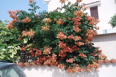 Ferienwohnung mit Blick auf den Nationalpark