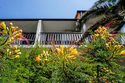 Ferienwohnung mit Klimaanlage und Internet