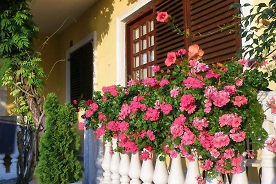 Appartamento Vacanza con famiglia Korcula città