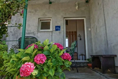 Ferienhaus mit Terrasse