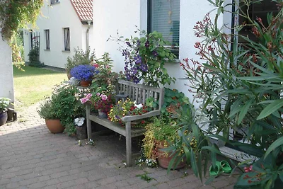 Ferienhaus mit Garten und Terrasse, 800 m zum