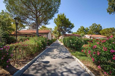 Bungalow Standard Zweizimmerwohnung mit Mezza
