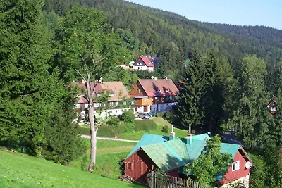 Appartamento Vacanza con famiglia Herlikovice