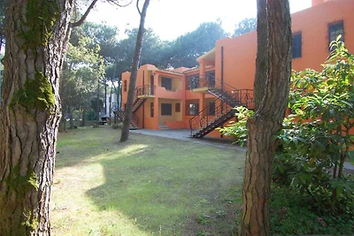 Ferienwohnung mit Terrasse