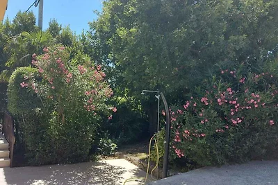 Gemütliche Ferienwohnung SD-203 CENTAR im Her