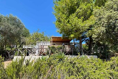 Mobilehome mit halbgedachter Holzterrasse