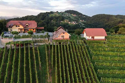 Ferienhaus mit Terrasse und Klimaanlage