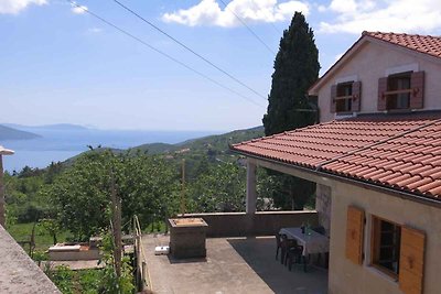 Ferienhaus mit Grill und Meerblick