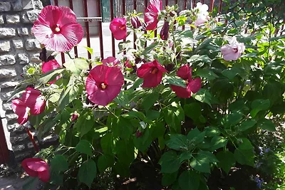 Ferienwohnung in Strandnähe mit Wifi und