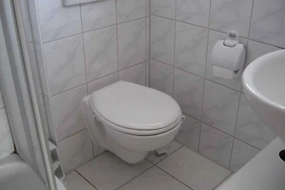 Ferienwohnung unter Schilfdach, nur 100 m vom