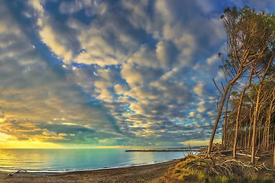 Appartement Vacances avec la famille Bibbona