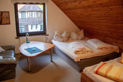 Ferienwohnung im Skigebiet